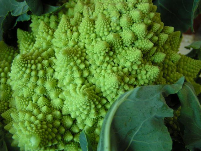 Romanesco Cauliflower